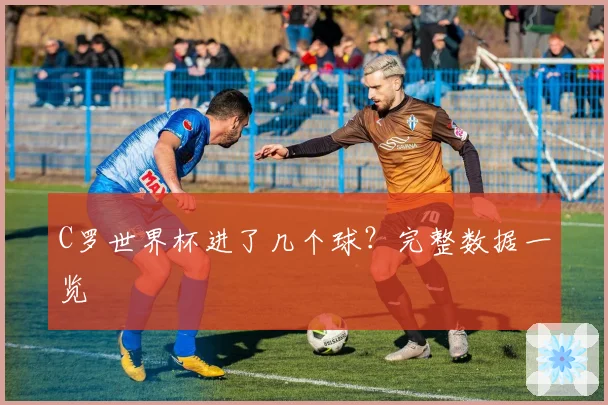 C罗世界杯进了几个球？完整数据一览