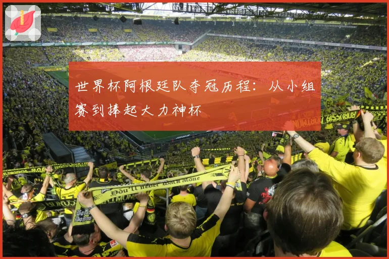 世界杯阿根廷队夺冠历程:从小组赛到捧起大力神杯