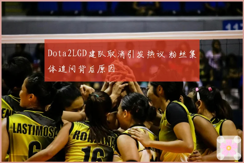 Dota2LGD建队取消引发热议 粉丝集体追问背后原因