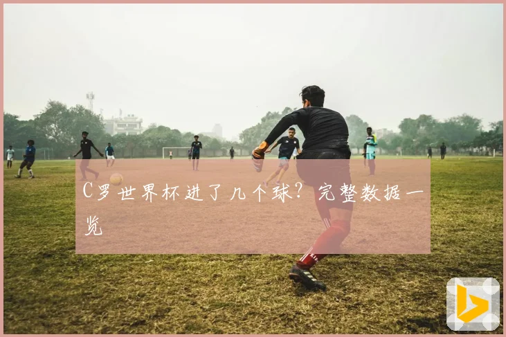C罗世界杯进了几个球？完整数据一览