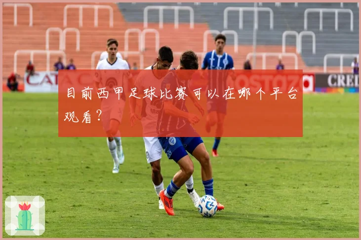 目前西甲足球比赛可以在哪个平台观看？