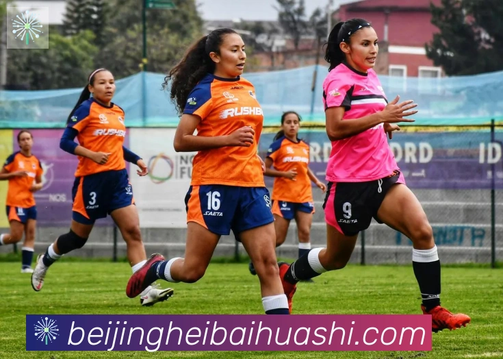 开云kaiyun网页版APP 高清赛事图