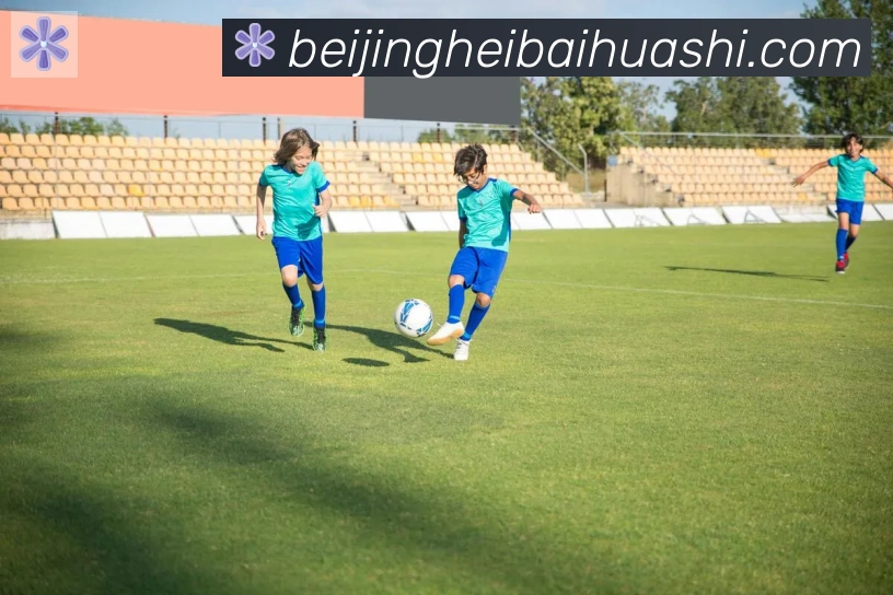 开云kaiyun网页版荣誉