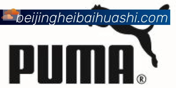 开云kaiyun网页版合作伙伴