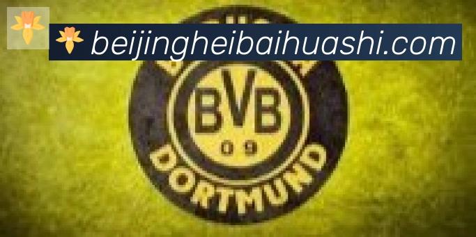 开云kaiyun网页版合作伙伴